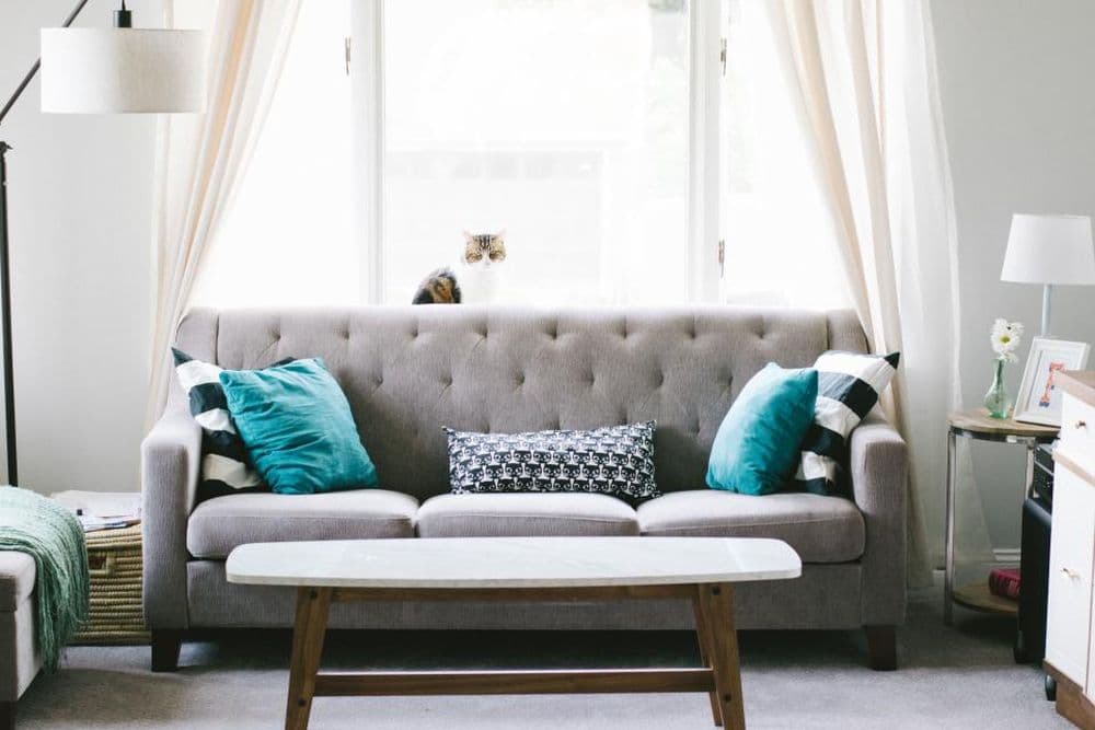 A bright rented living room with a grey sofa and cushions